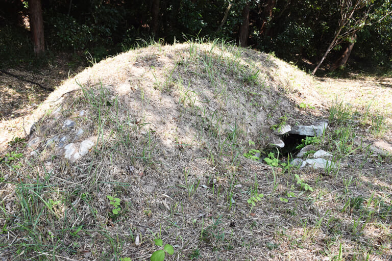 筏山古墳移築石室及び出土人骨一括