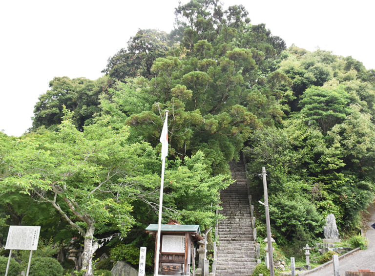 鮎原剣神社社叢