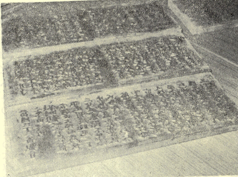 木造当国三十三番観音順礼手引